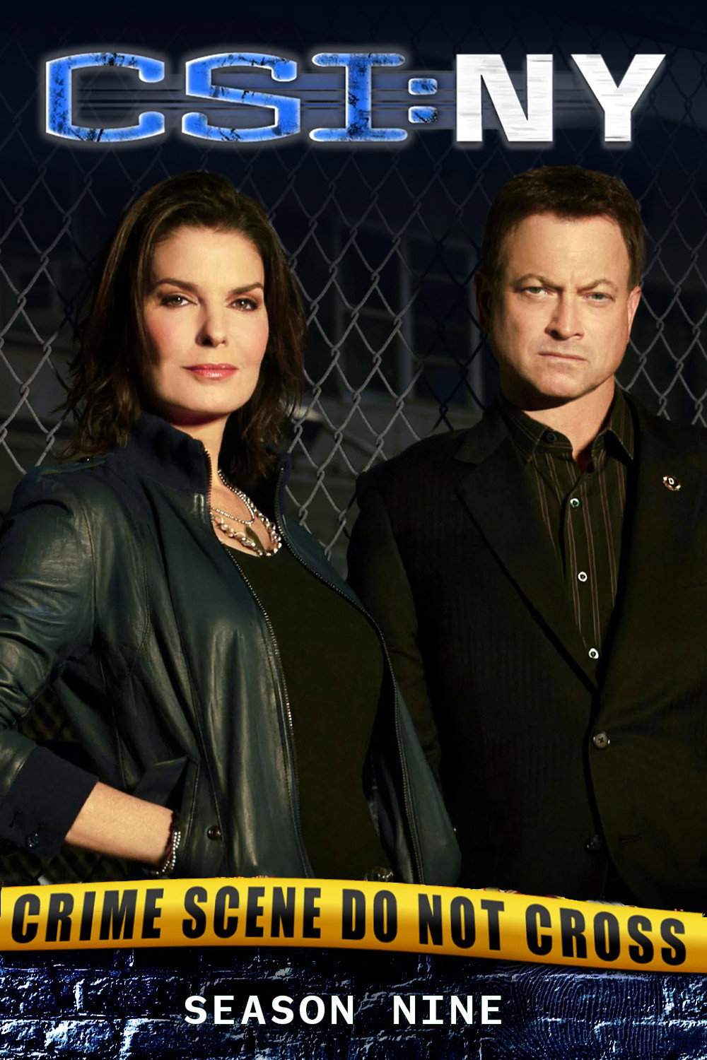 CSI: NY Season 9
